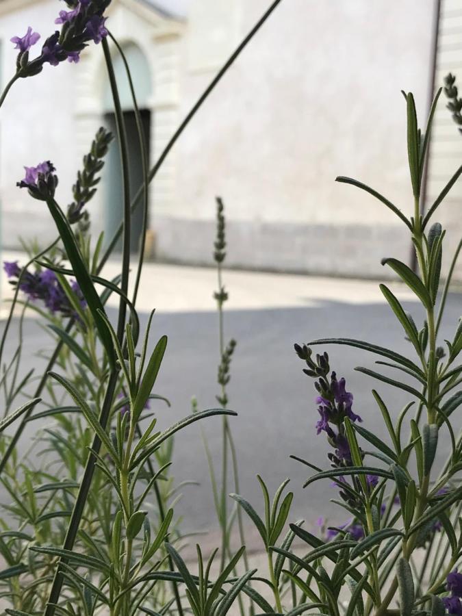 Fontevraud Maison De Ville Bnb Buitenkant foto